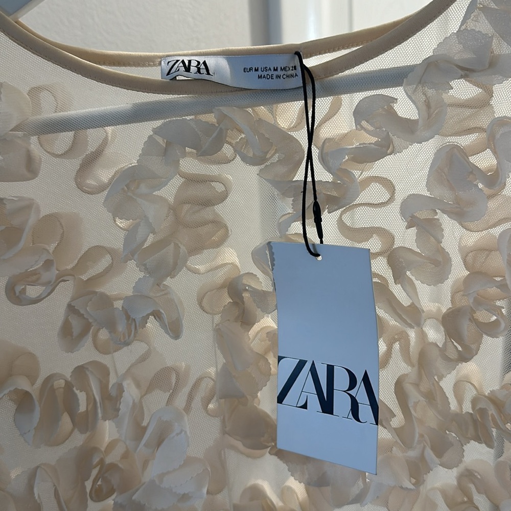Zara Textured Tulle Top Semi-sheer Top Round Neck Short Sleeve - Picture 7 of 7